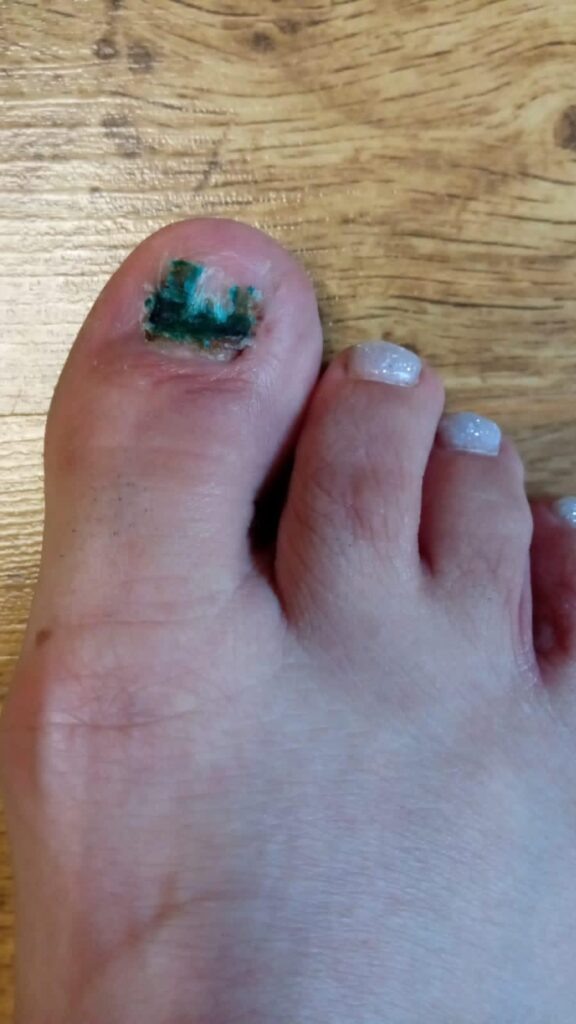    Фото: Амур.инфо