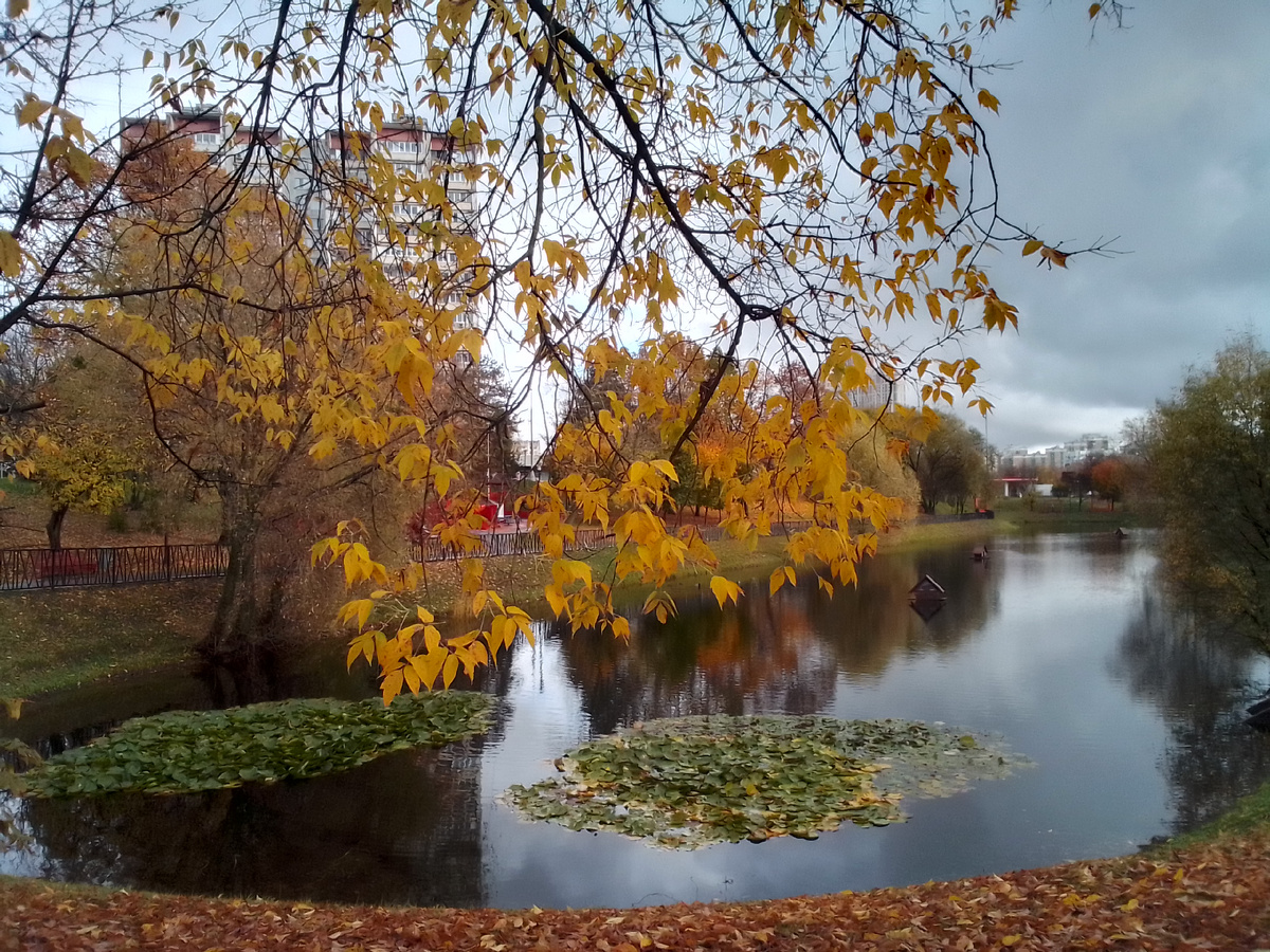 Фото автора 