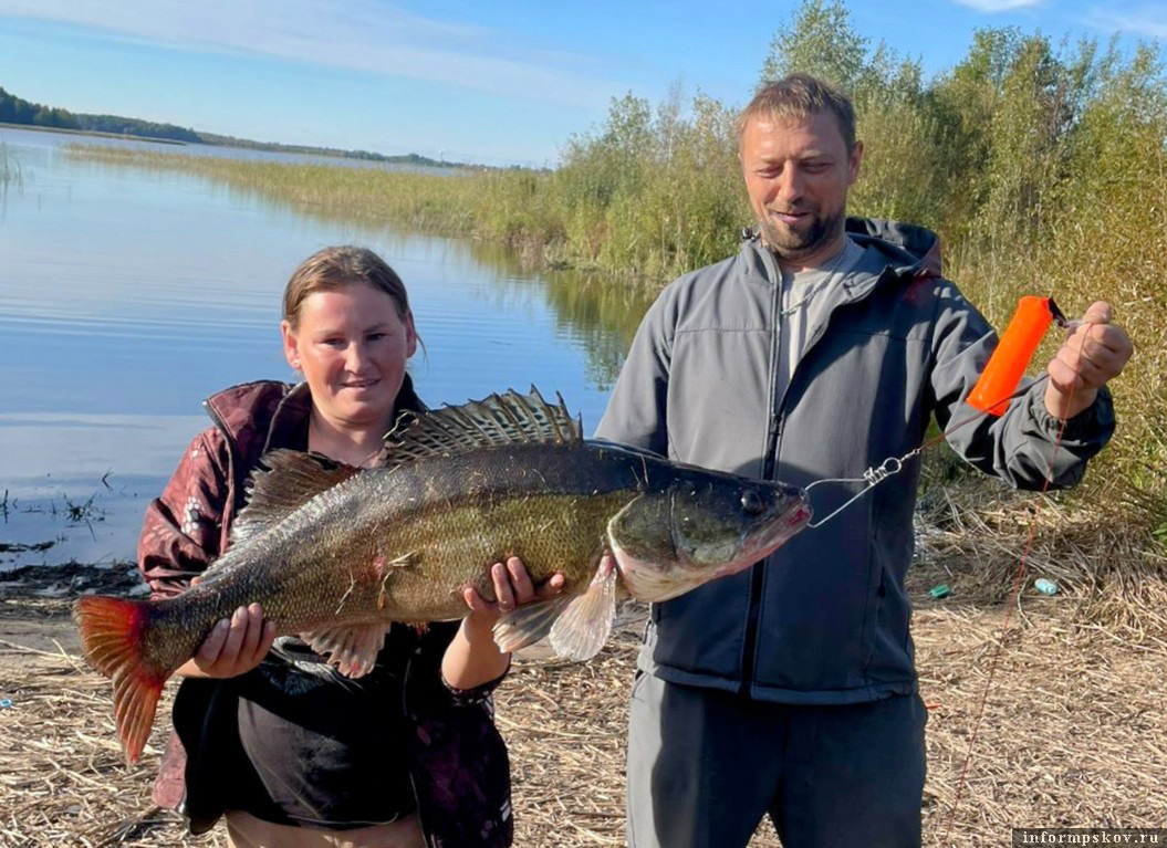 Октябрь 2025 года. Судак весом 10 килограммов 140 граммов. Оказывается, такие «драконы» ещё не перевелись в Чудском озере. Фото: Александр Попов