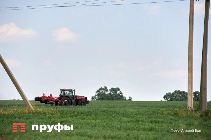    Фото: Пруфы. рф