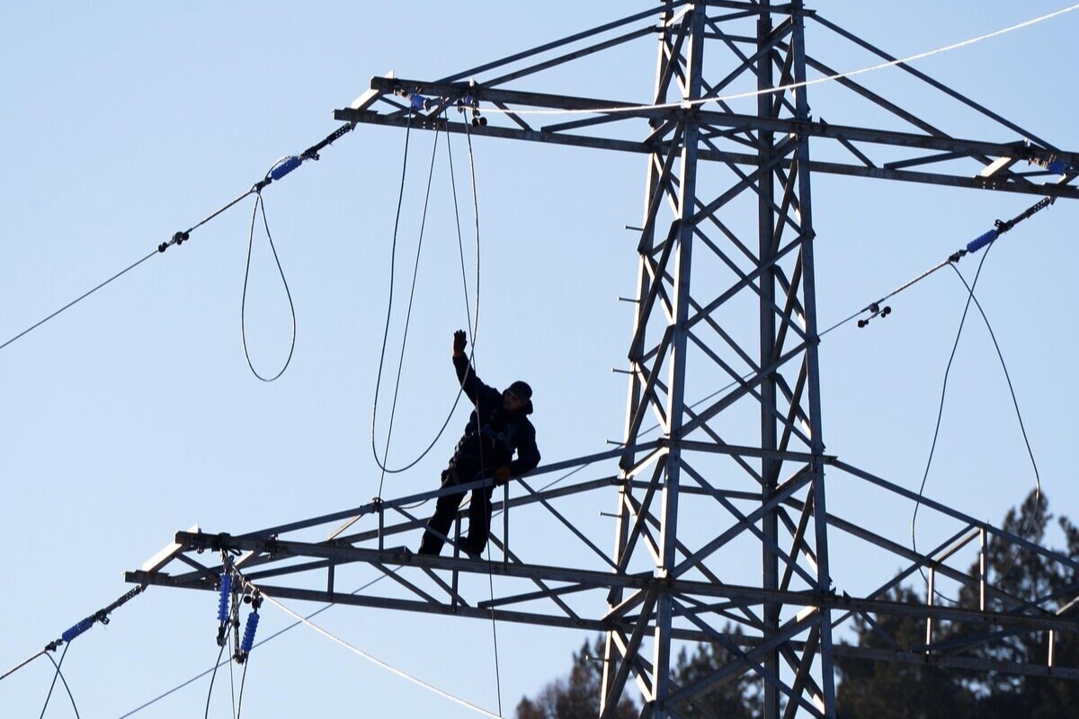    Фото: Илья Наймушин, источник: ria.ru