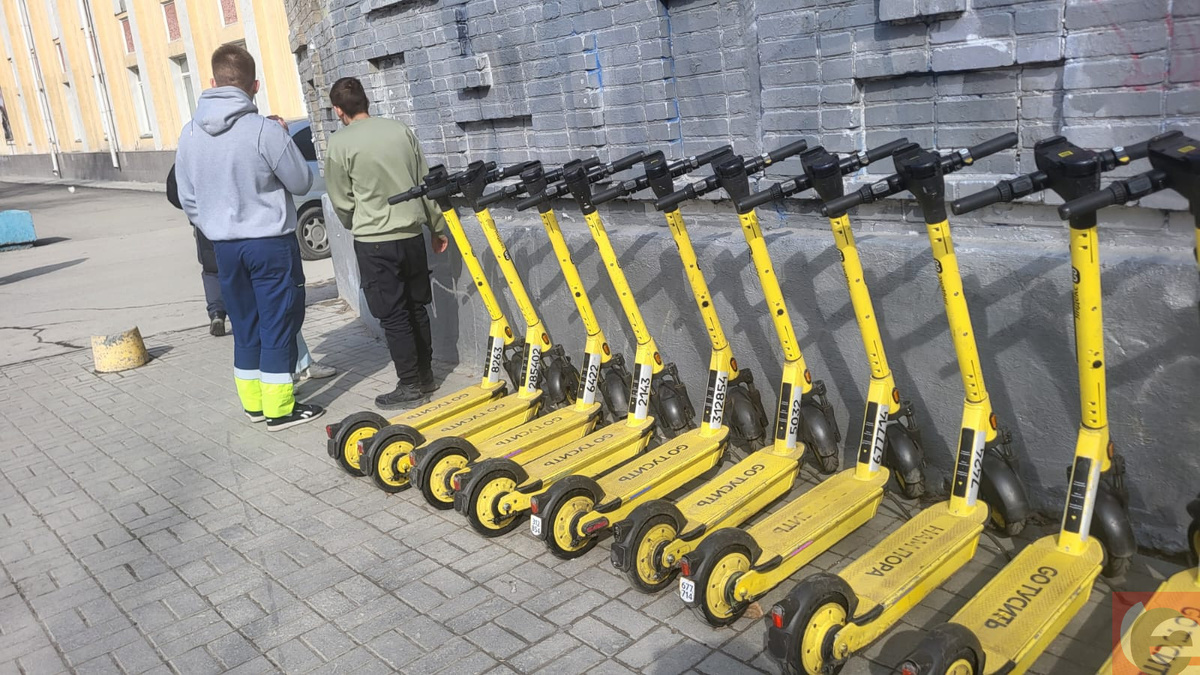    Фото: Прецедент