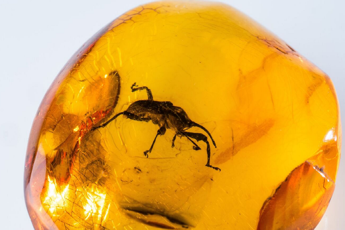    Фото: Игорь Зарембо, источник: РИА Новости