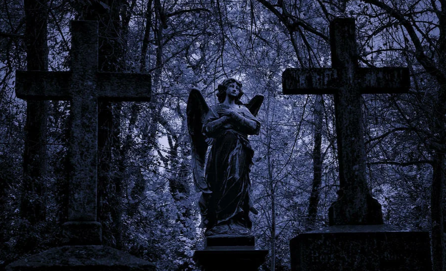 Картинка из открытых источников