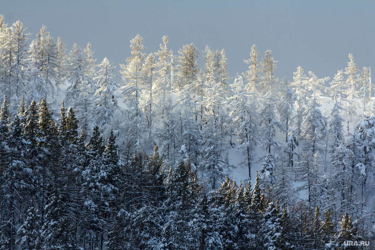 Опытные туристы оказались неготовы к походу. Фото: Илья Московец © URA.RU