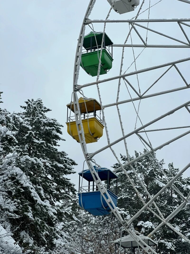 Листайте вправо, чтобы увидеть больше изображений