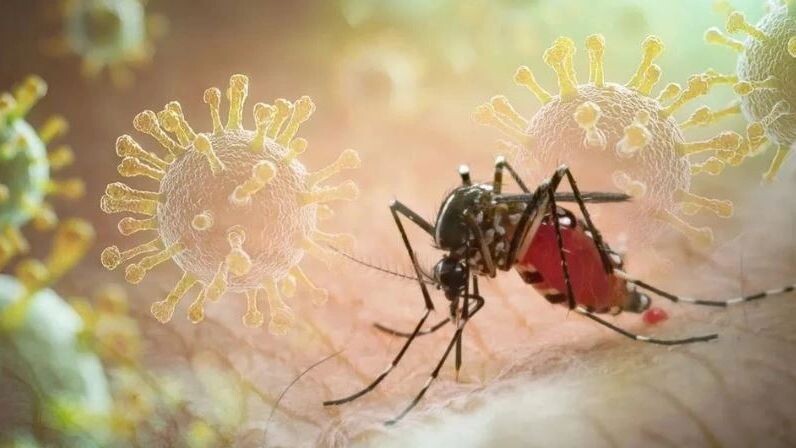    Фото: frank60/Shutterstock/Fotodom