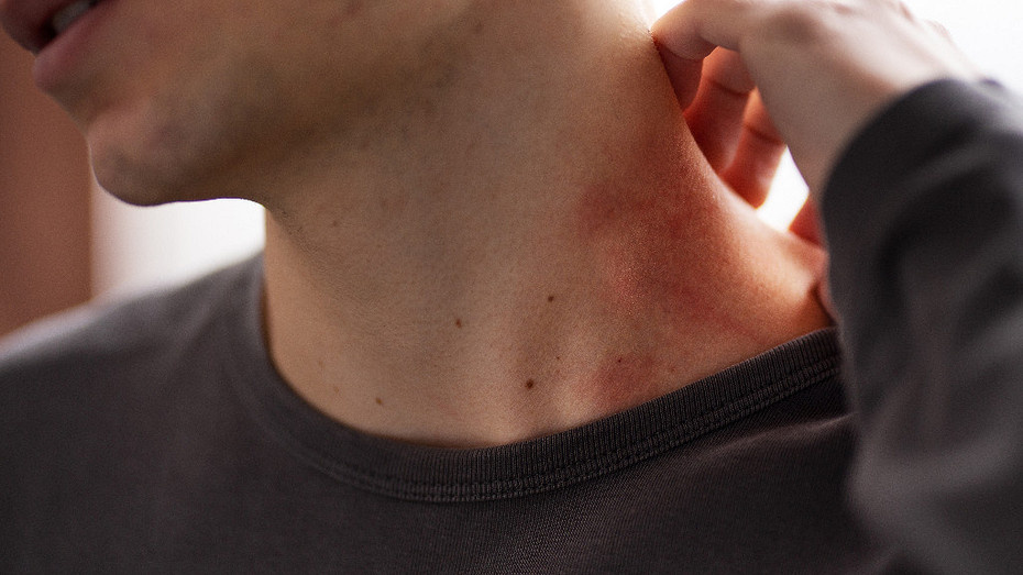     Источник здесь и далее: freepik.com