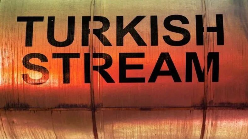    Фото: Lisic/Shutterstock/Fotodom