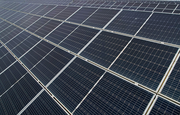 Муса Салгереев/ТАСС