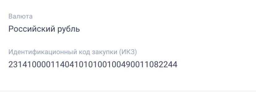 Пример ИКЗ в реальной закупке