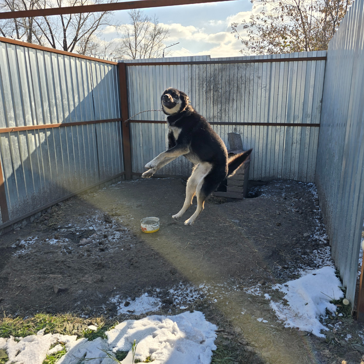 Руна покоряет небеса с азартом