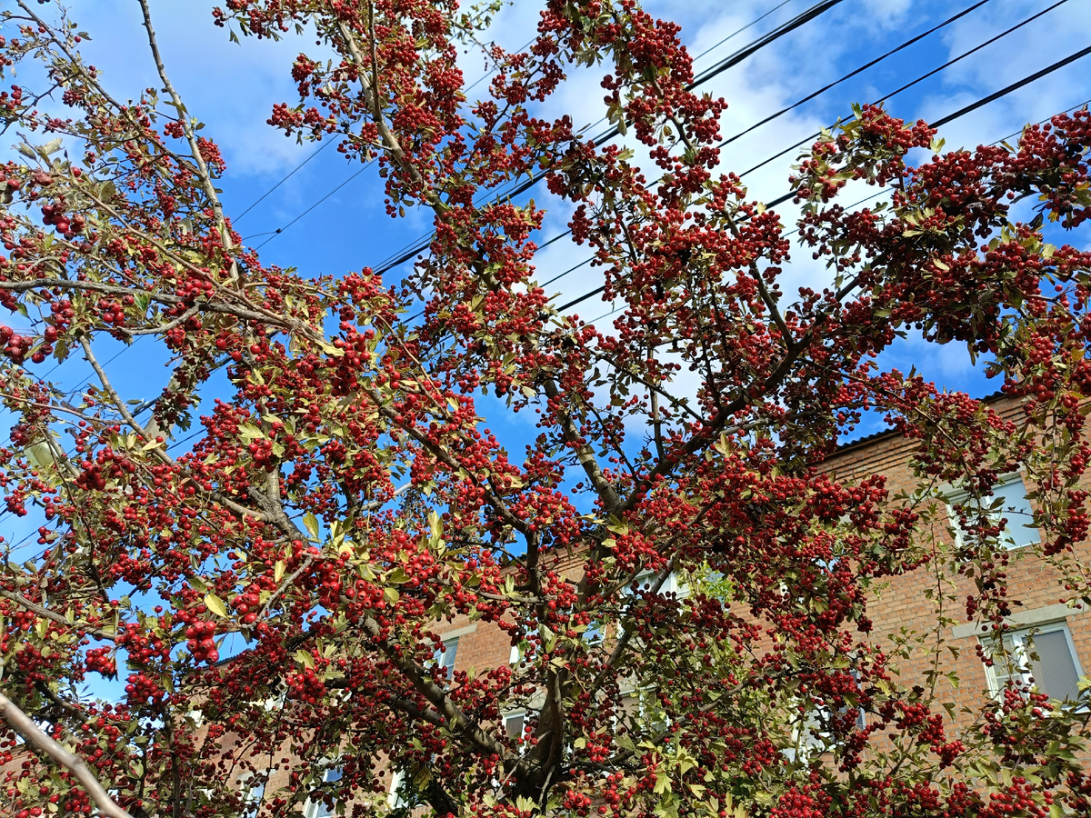 Фото с прогулки. Наш дом