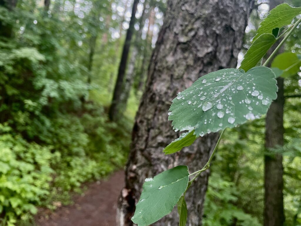    Фото: Алена Калашникова Иван Фистин