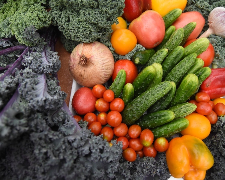     В Курской области оборот продуктовой торговли составил 121,3 млрд рублей