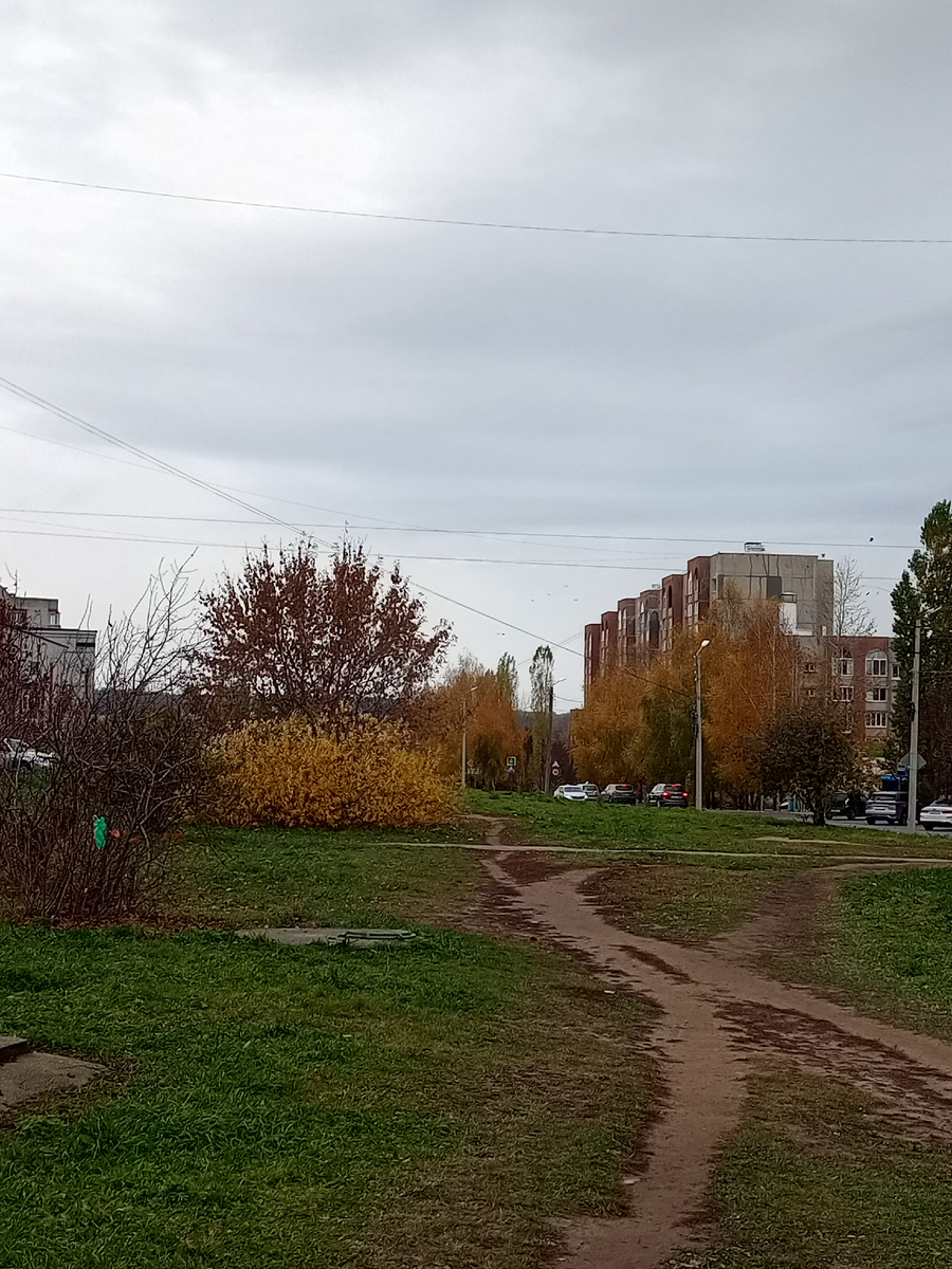 Вот такое у нас утро