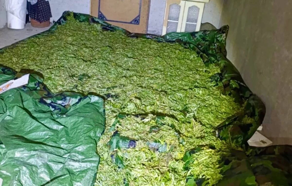    24-летний наркоторговец, продававший «траву» и гашиш, задержан в ЕАО