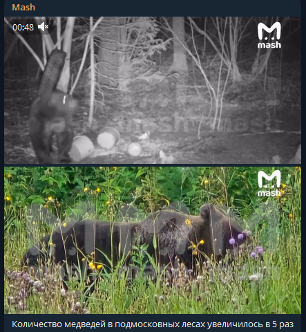    Фото: скриншот тг-канала Mash