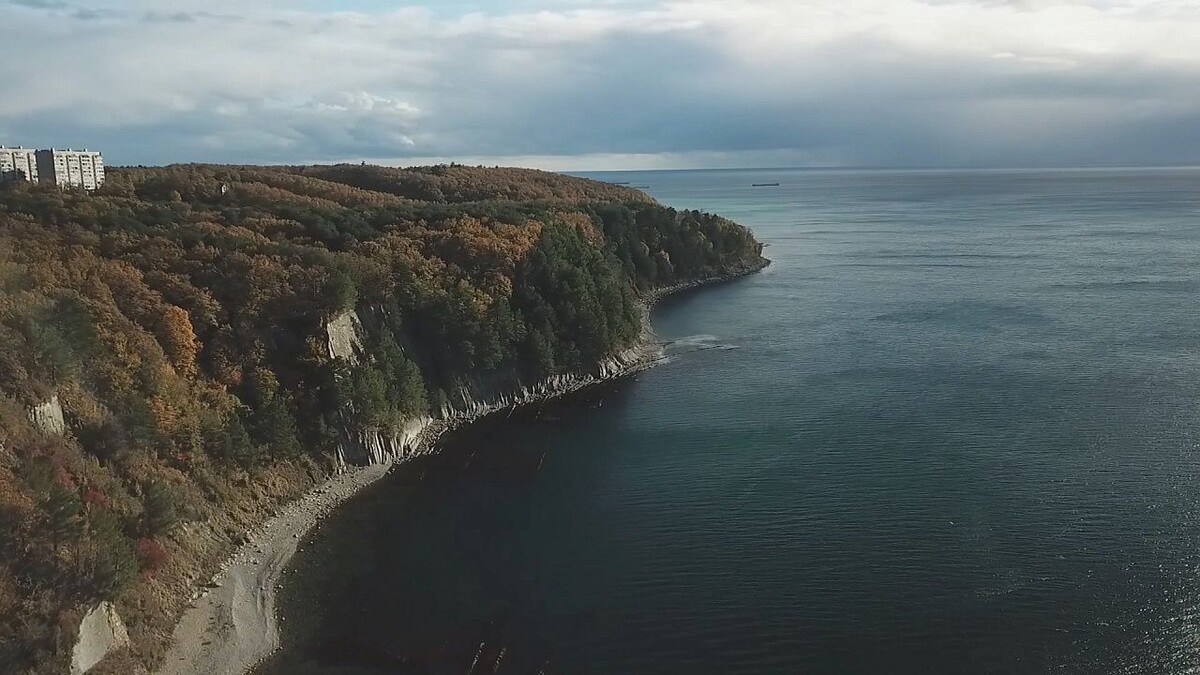    Фото: телеканал «Краснодар»