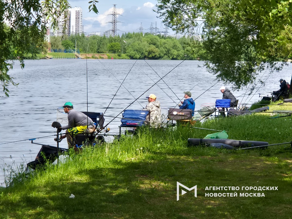 Фотограф: Денис Воронин