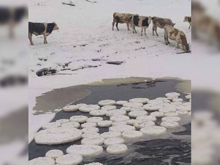     Фото: социальные сети