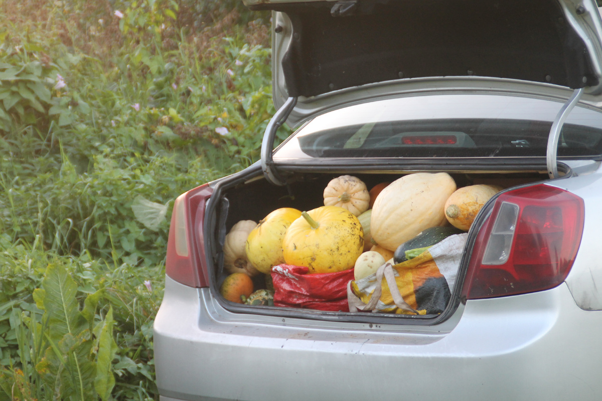 Домик в деревне Псковской области (Фото Автора).