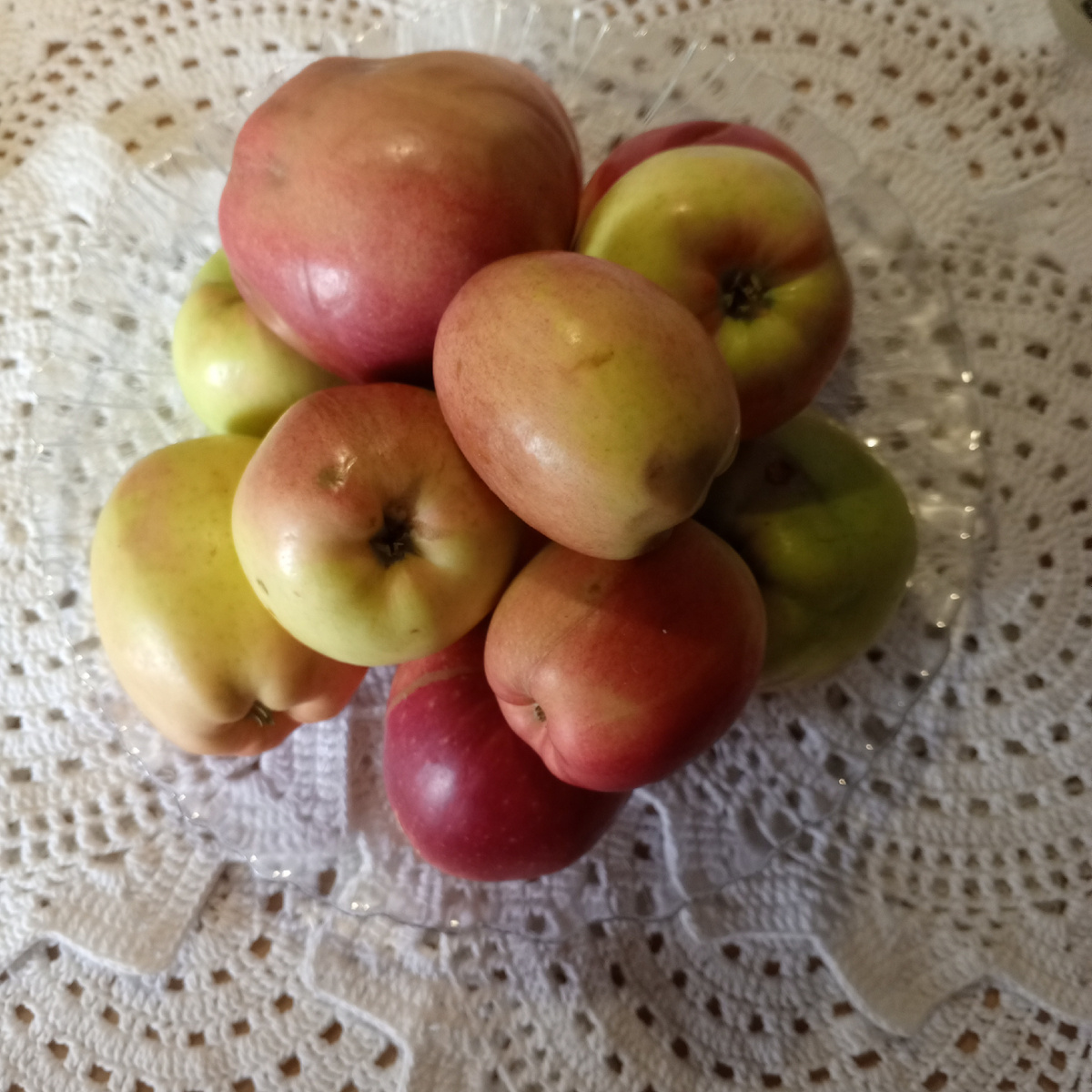 Яблоки из садов АгроБелогорье 