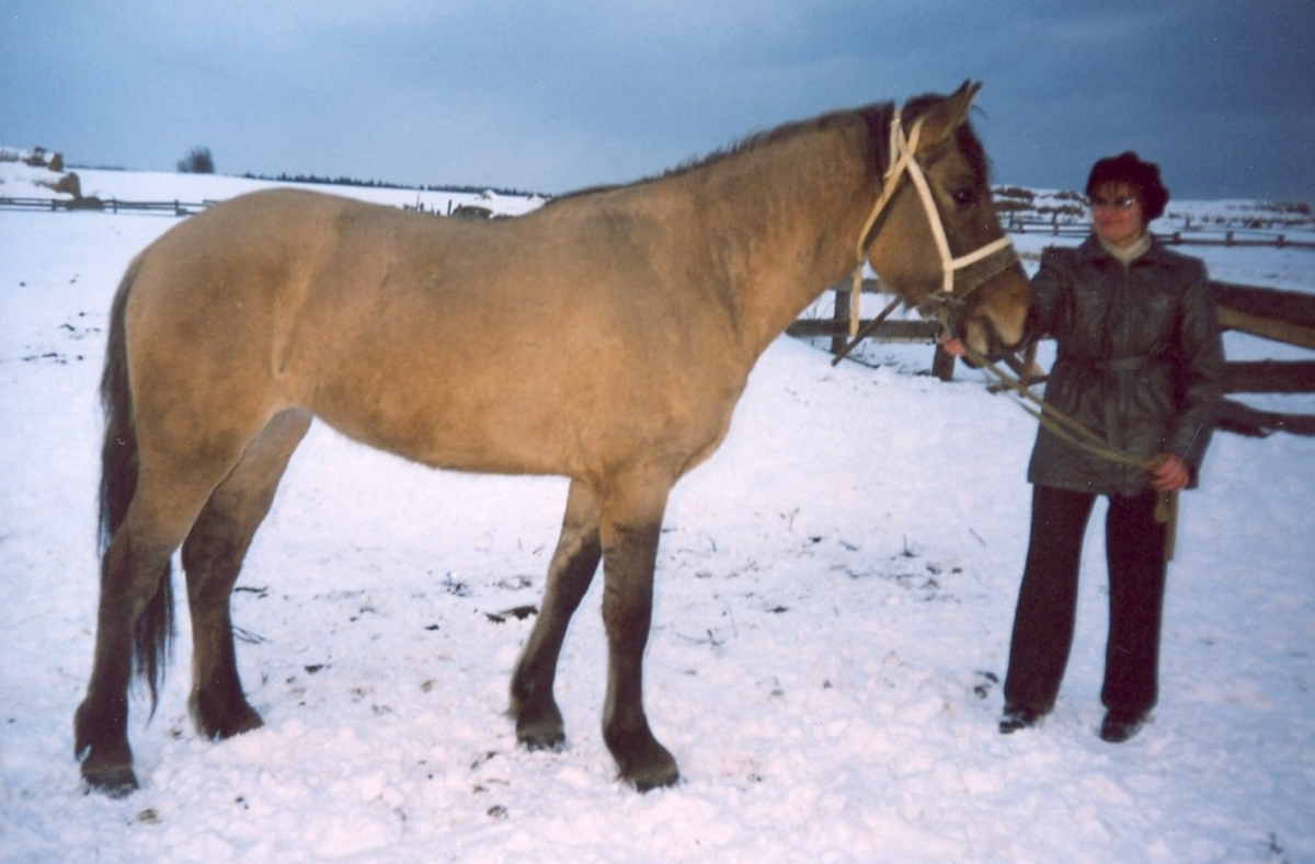 Фото 2004 г.: С кобылой Клюквой, 2001 г.р. (Чемпион – Кокетка), ставшей одной из ведущих продолжательниц семейства Тайги, чемпионом и призером нескольких выставок.