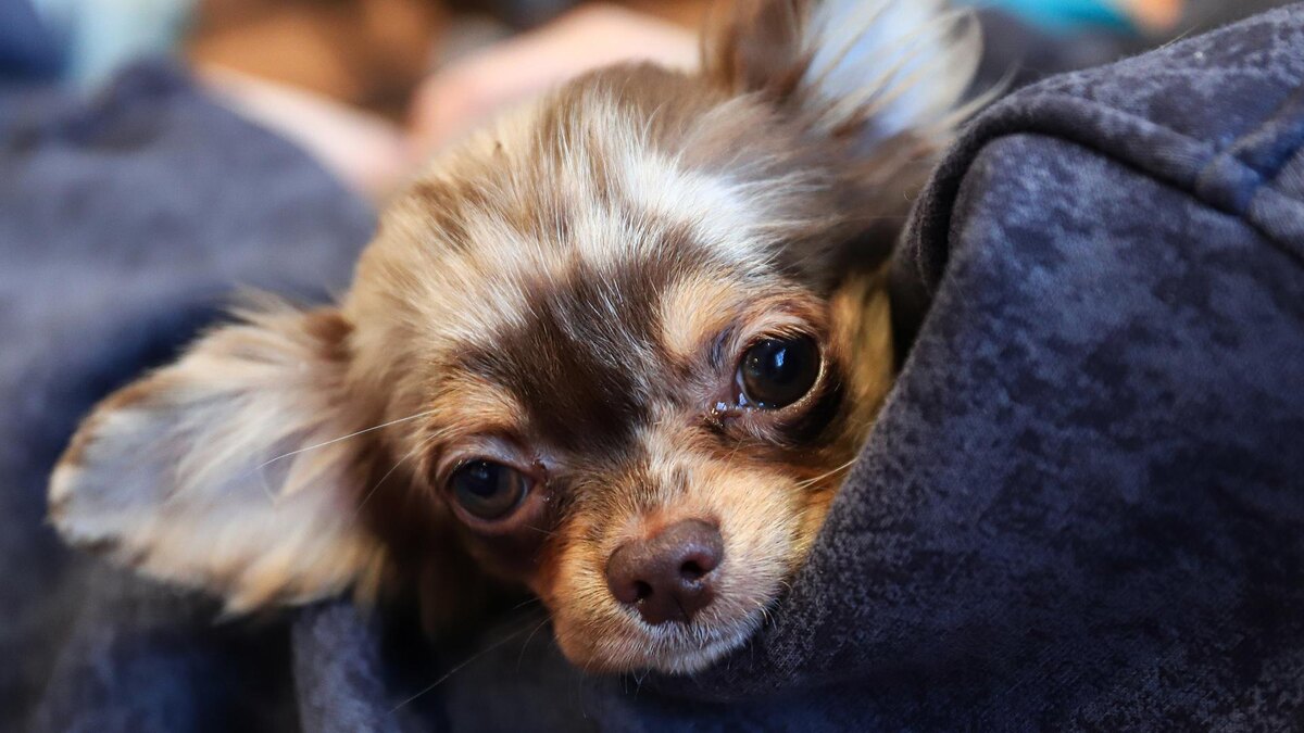    Фото: Razmik Zackaryan/globallookpress.com