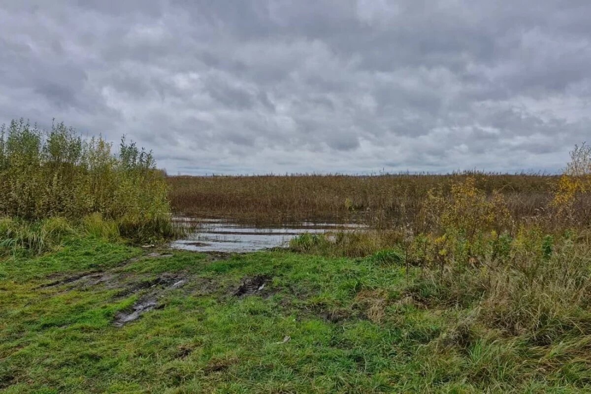    Следователи проводят проверку по факту гибели мужчины в невельском озере