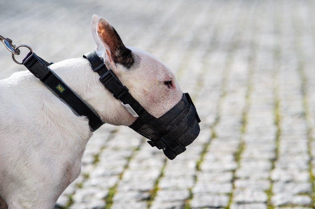    Фото © dpa / picture-alliance / ТАСС