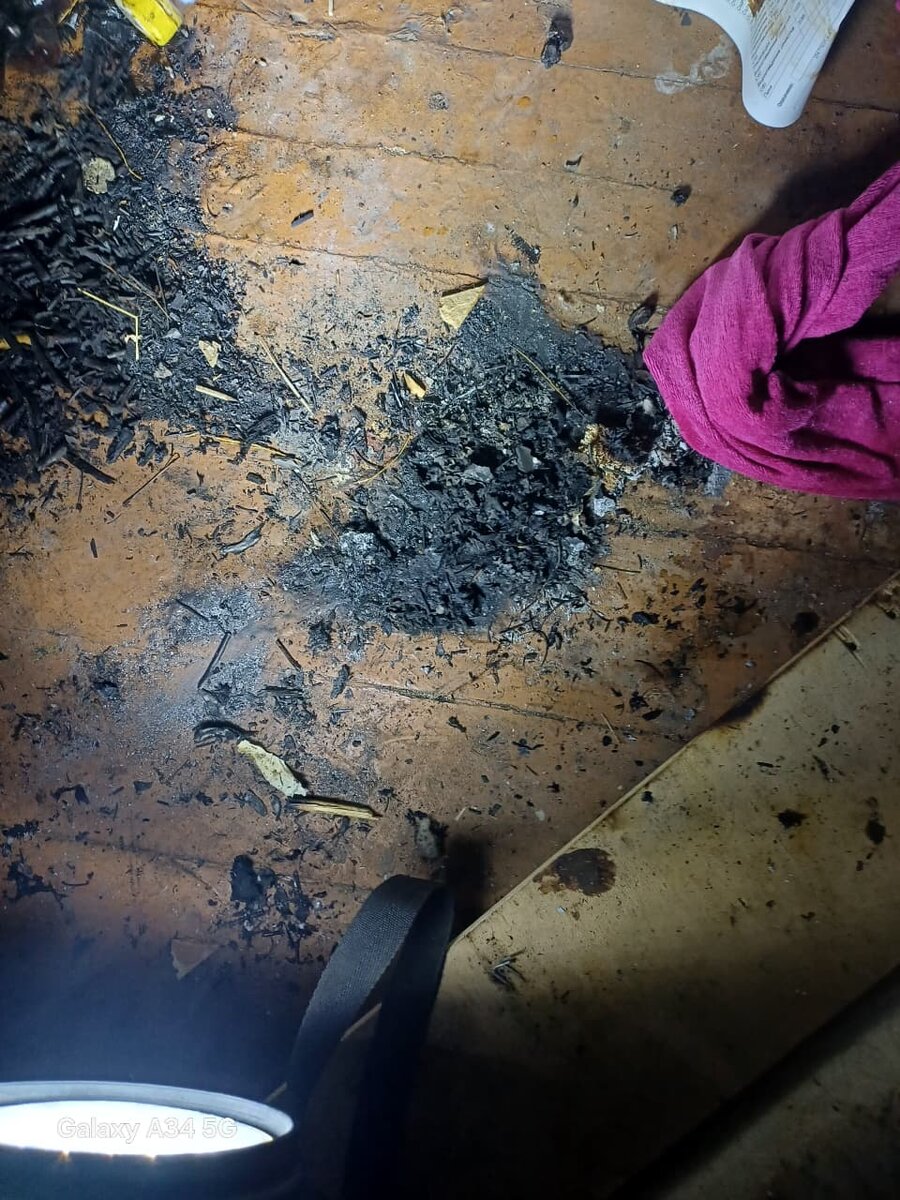    Фото: телеграм-канал Государственного комитета Республики Карелия по обеспечению жизнедеятельности и безопасности населения