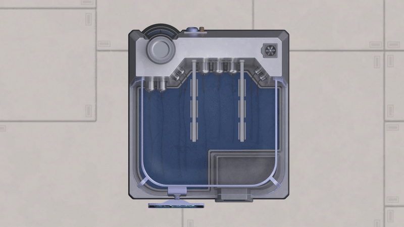 Выращивание пшенички (процесс ускорен для наглядности)