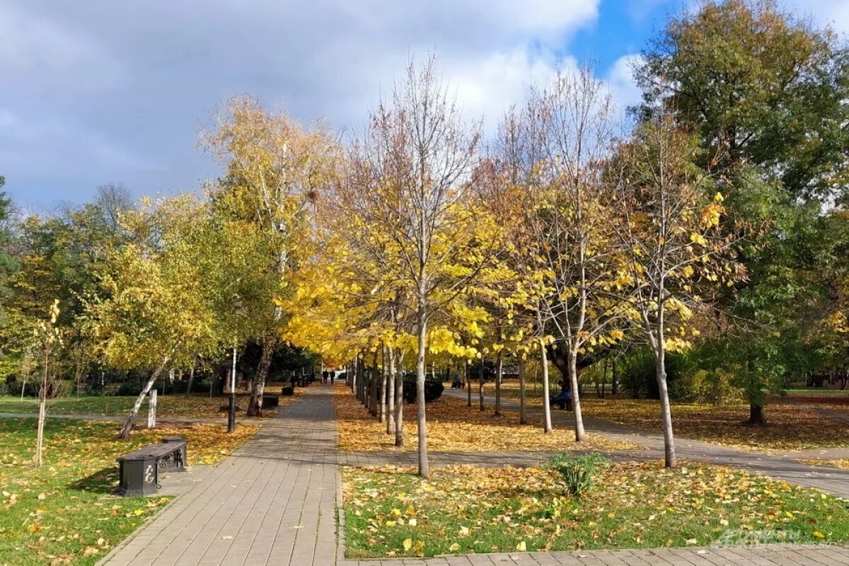    Благодаря антициклону на Кубани рассеется туман и потеплеет