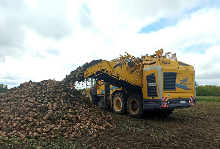    Лучшим в России производителем свёклы признан аграрий из Оренбуржья Алла Черкесатова