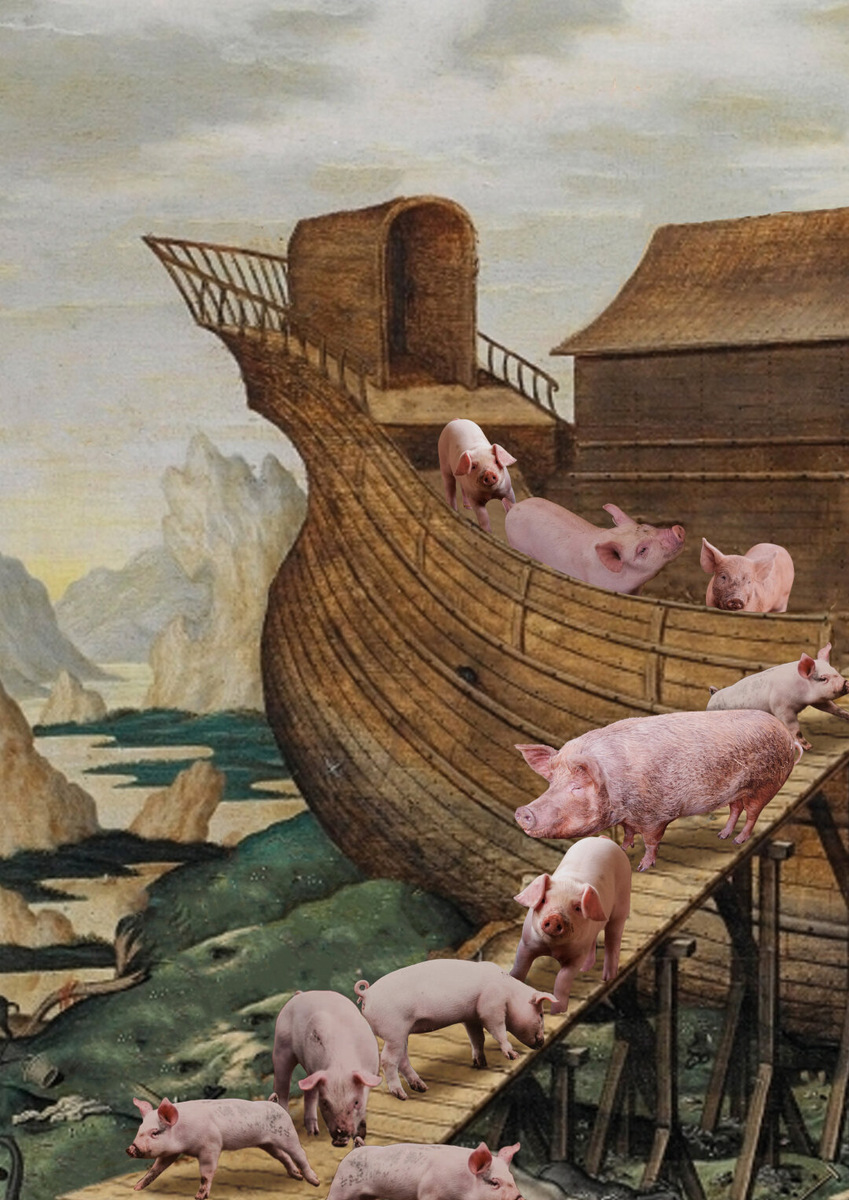    Свинина вернулась!