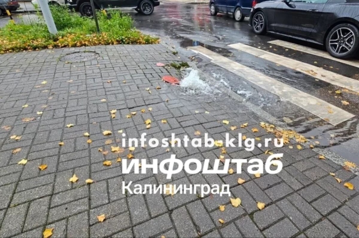    На пешеходном переходе в центре Калининграда из-под земли бьет фонтан