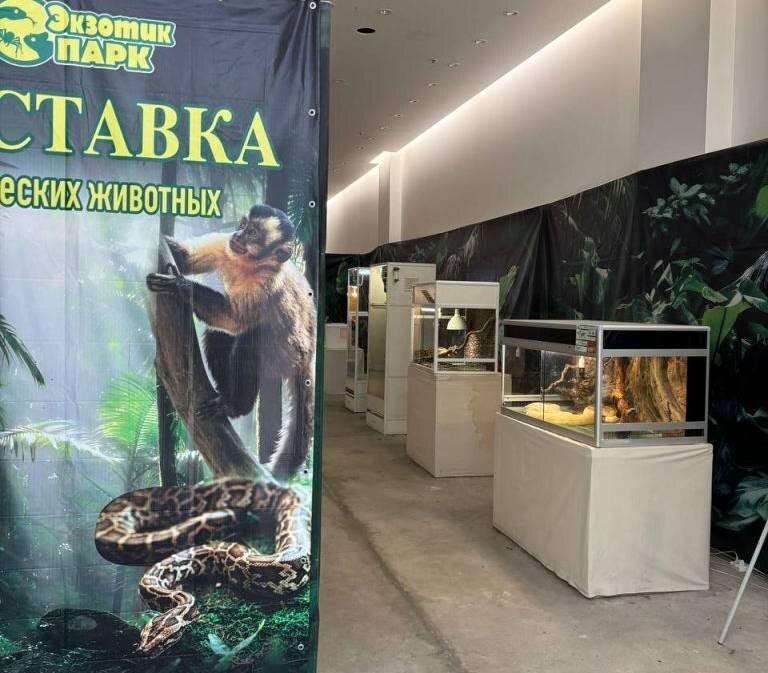    фото регуправления Россельхознадзора