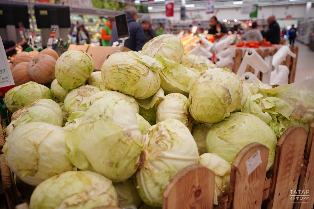 Фото: © Владимир Васильев / «Татар-информ»