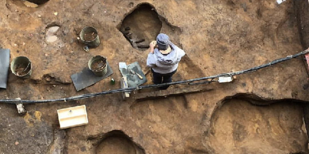 В Подмосковье нашли клад в черепе мамонта — ему 16 000 лет. Откуда он там?