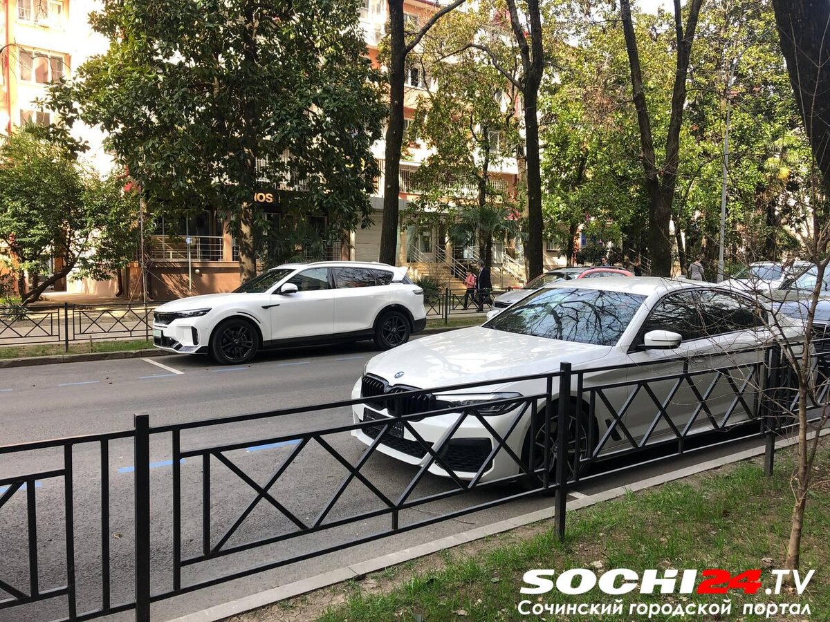    Фото: Сочи24 (Лидия Виленская)