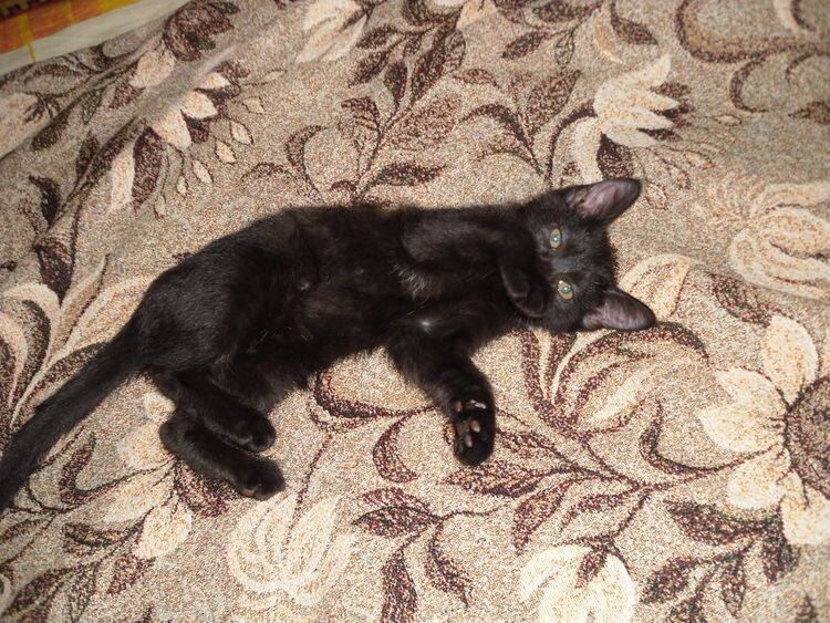 Макс в детстве. Фото автора рассказа Ирины Л.