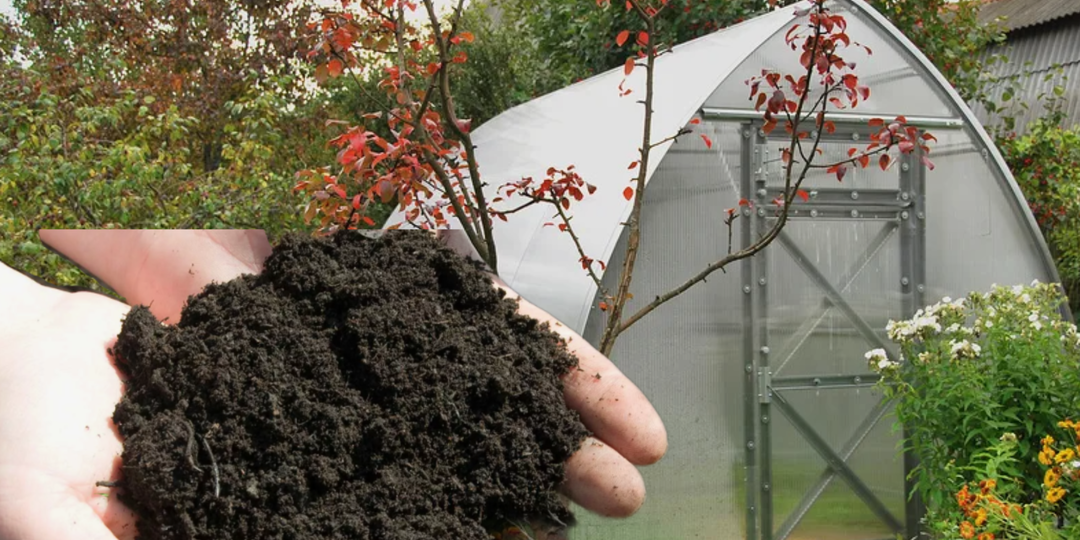 В октябре готовим землю для парников: как собрать, обеззаразить и зарядить на урожай
