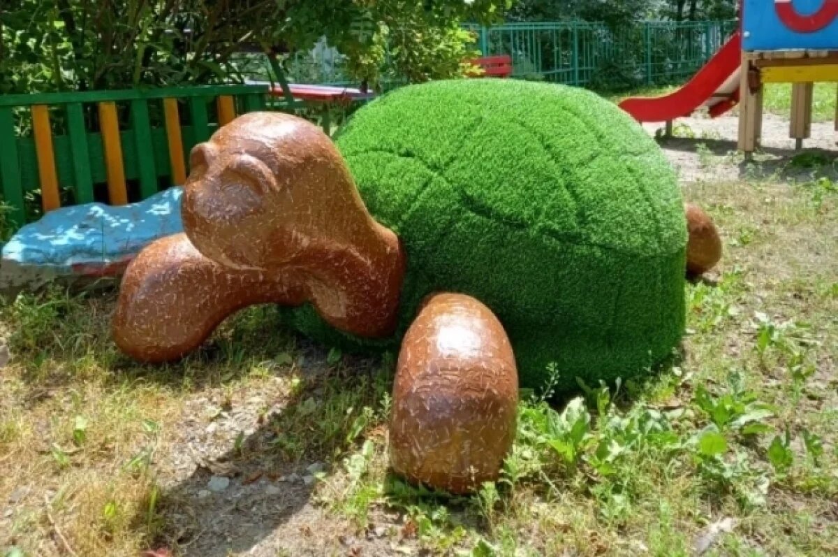    Мэрия запретила владивостокцам установить фигуру черепахи у озера