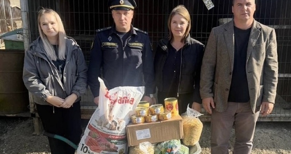 Ивановские приставы взяли под опеку приют для собак