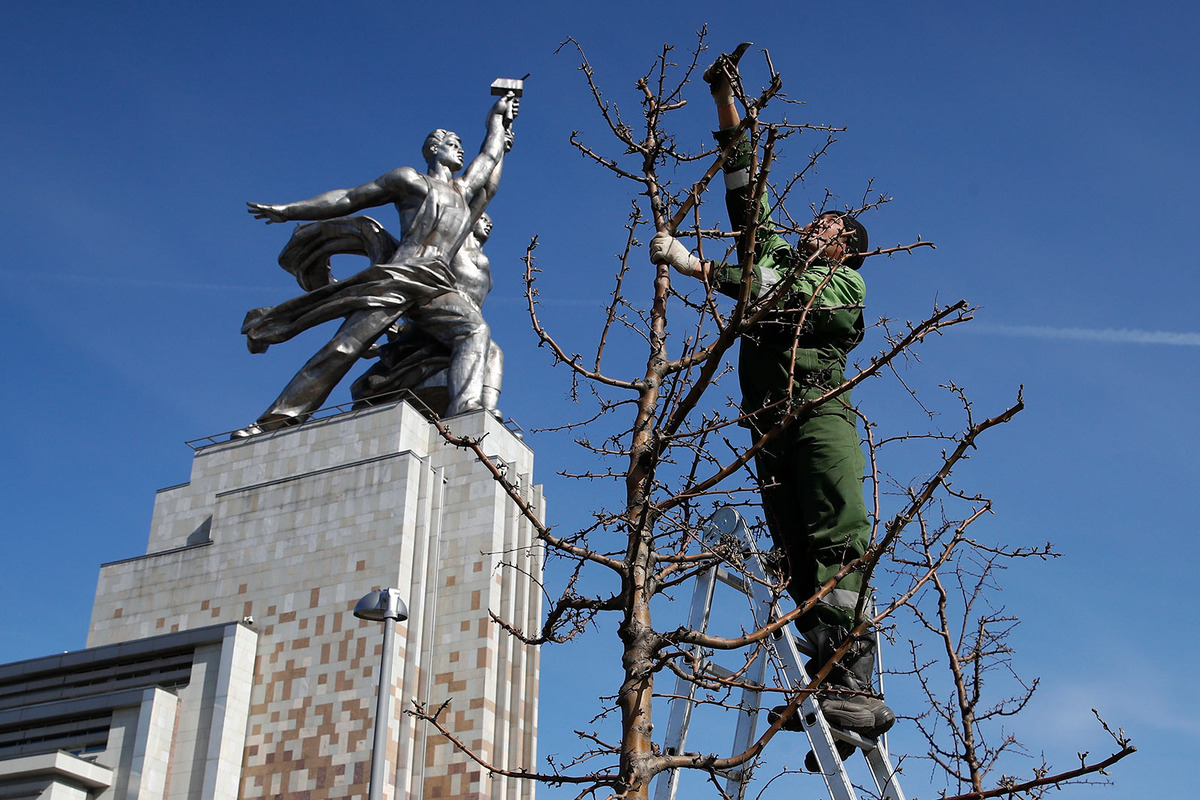 ТАСС