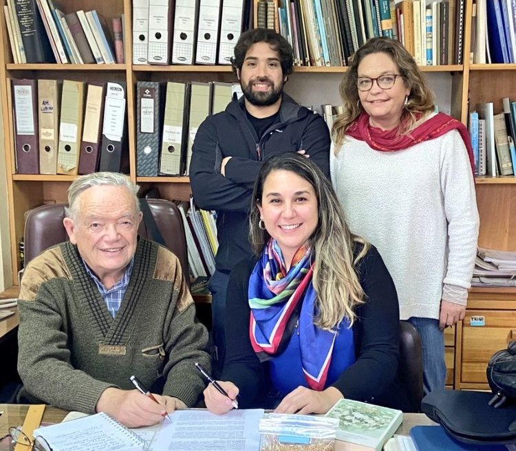     Отредактированная для обогащения клетчаткой пшеница продвигается на глобальном уровне
