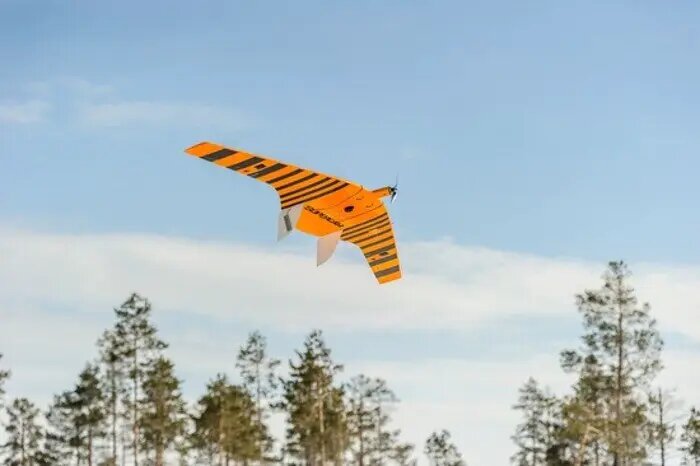    Фото: cnews.ru Мария Михайлова