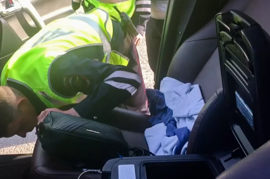 Фото носит иллюстративный характер: открытые источники