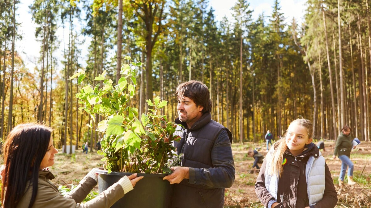    Фото: Robert Kneschke / Shutterstock / Fotodom